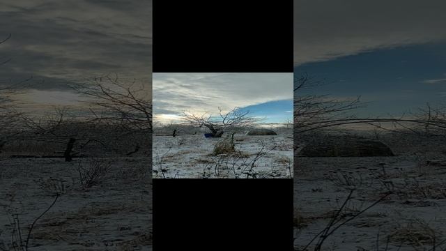 Где-то там в голубом просторе светит солнце. Записки Отшельника Мценского уезда.