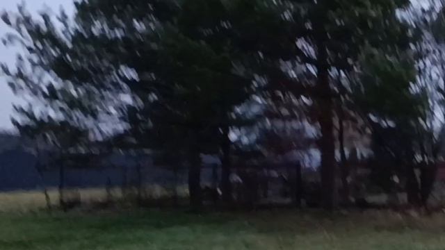 З/у с к. н. 50:28:0080105:969, расположенный по адресу: МО, г.о. Домодедово, д. Кутузово