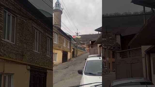 Тарки за Палестину