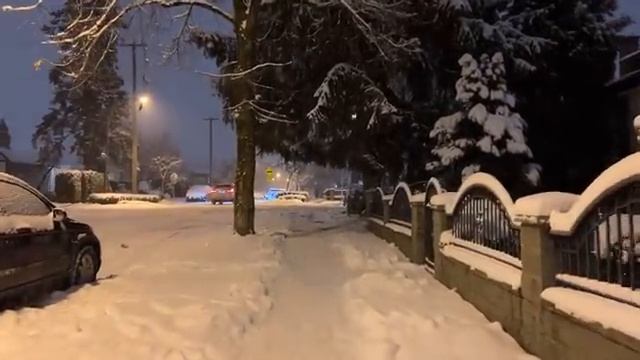 A Snow Walk in East Vancouver