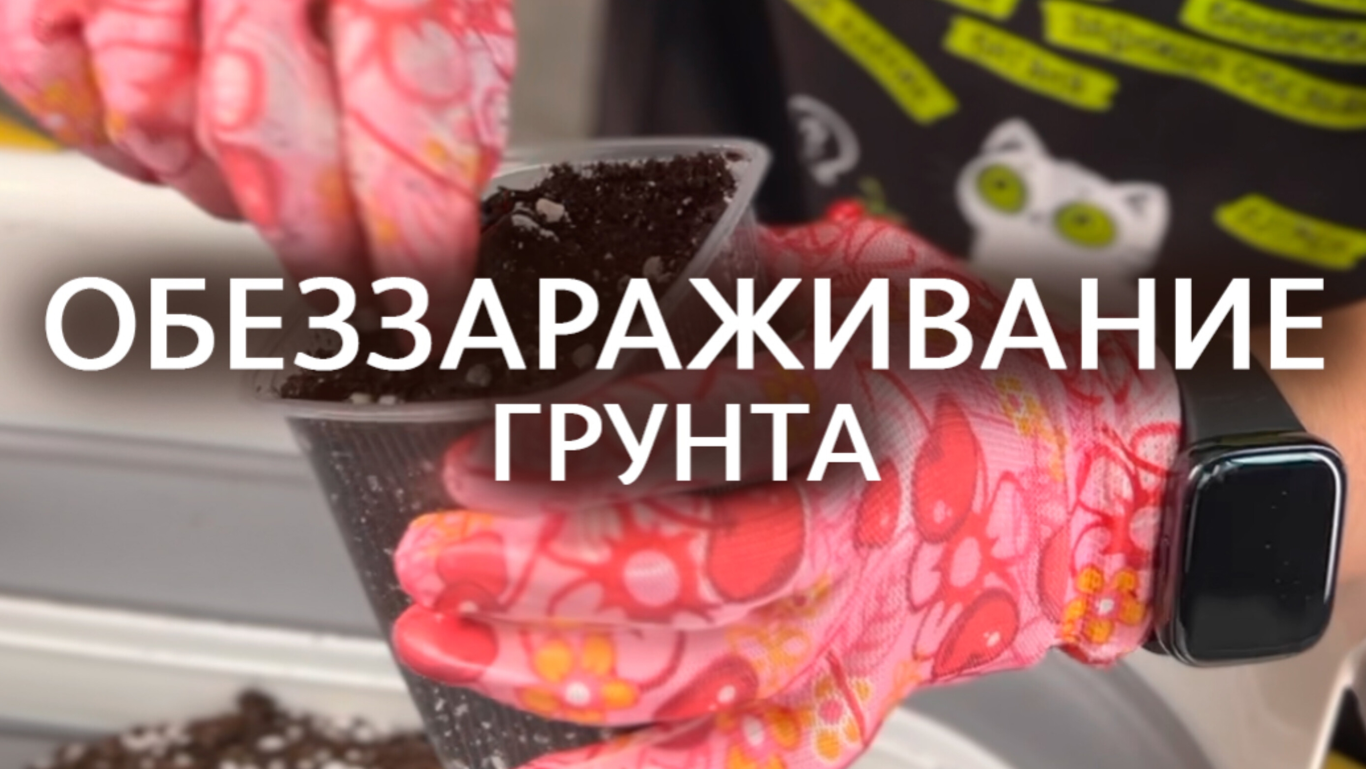Обеззараживание грунта ✅