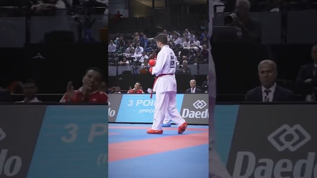 VID_20241127_040328_431