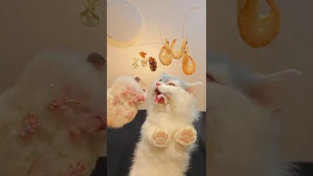 Плотный обед.