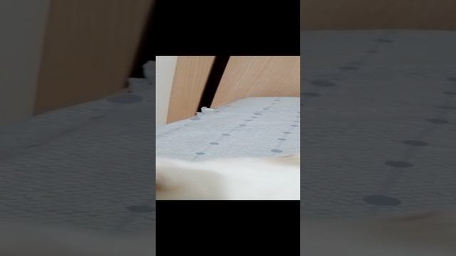 1000007444.mp4