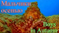 Мальчики осенью