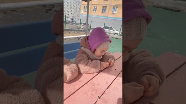 Семечки на лавочке