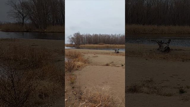 волга предзимье