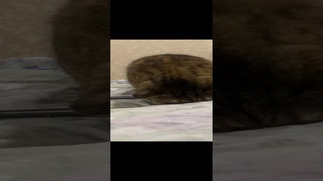 Ксюша помогает мотать леску