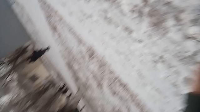 Ура первый снег