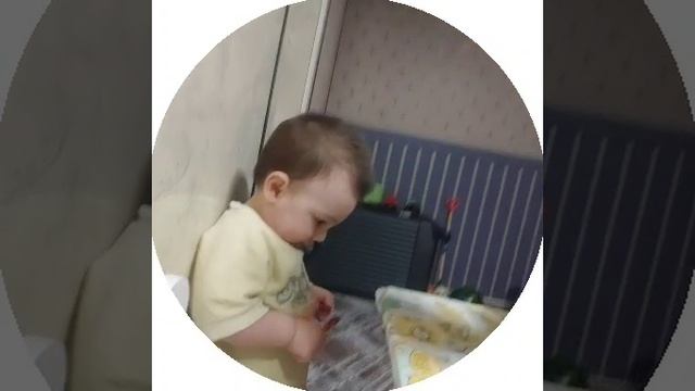 1732819002598.mp4