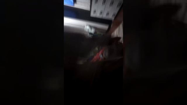 Кекс