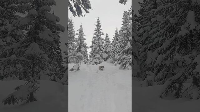 lv_0_20241127153819.mp4