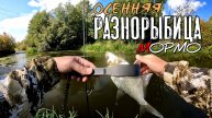 Осенняя разнорыбица. Мирная рыба. Мормышинг наноджиг ультралайт
