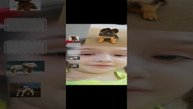 оцениваю собачек