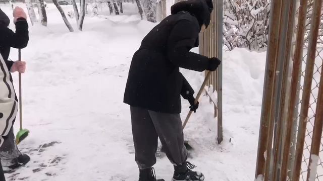 Студенты колледжа вышли на уборку снега