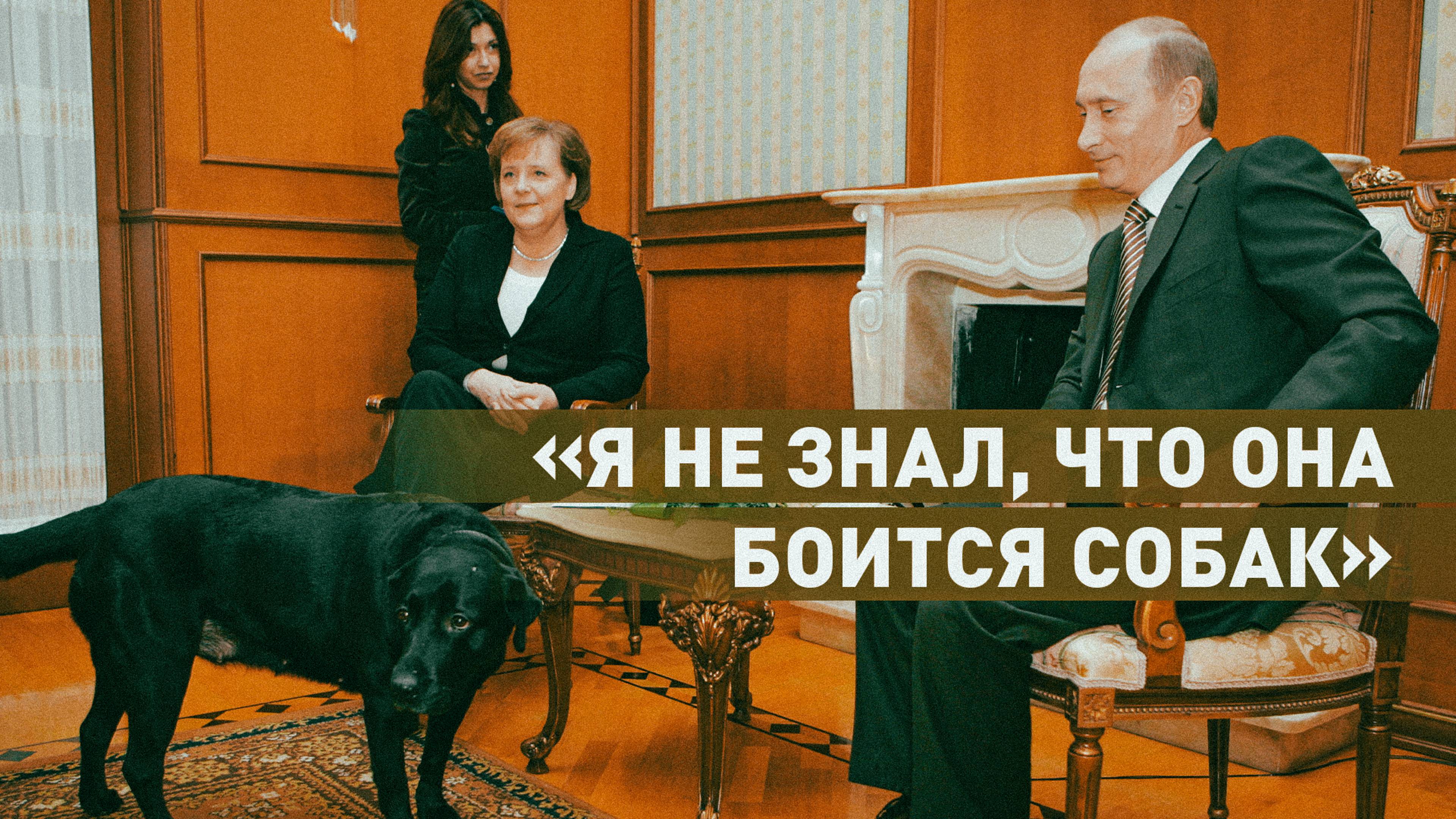 «Ангела, пожалуйста, извини меня»: Путин попросил прощения у Меркель за случай с лабрадором