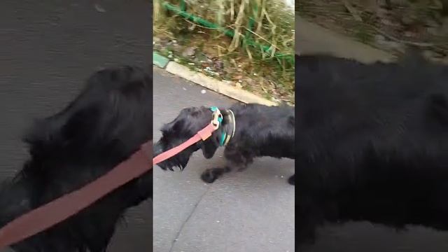 1000046719.mp4