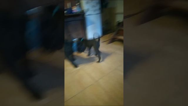 1000046654.mp4