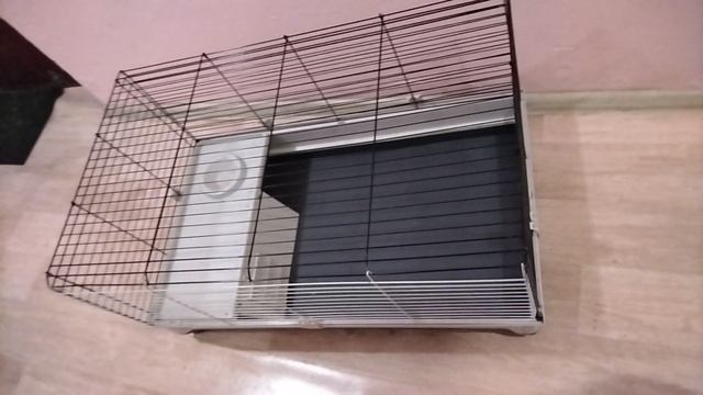 VID_20241127_224803.mp4
