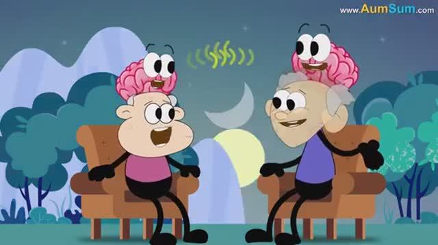 Что, если бы наши Мозги Общались друг с другом?