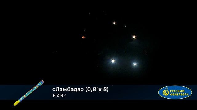 P5542