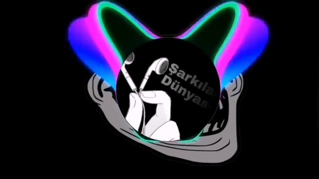 lv_0_20241128073334.mp4