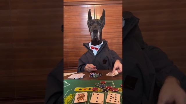 С этими в карты лучше не играть)))