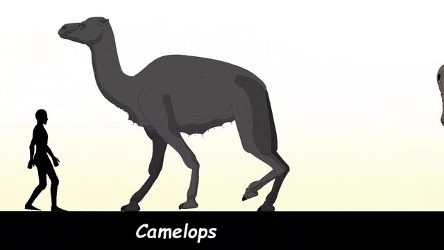 Size Comparison: Prehistoric Animals(random) Animated 2.
