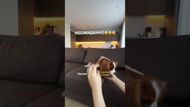 22 ноября 2024 г.