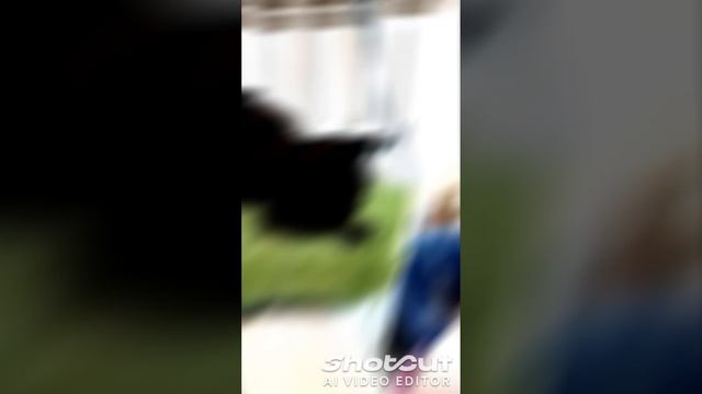 😱Страх
#коты