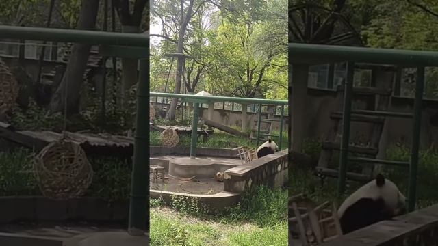 Ничего не предвещало беды 😂