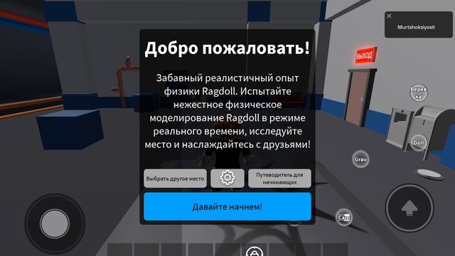 физика рагдолла или ragdoll engine похоже ли обычный рэгдолл или с физикой