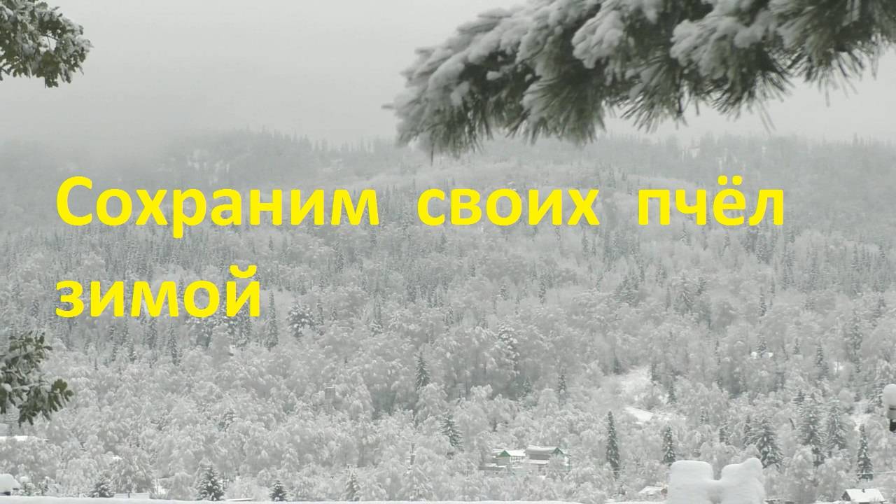 Некоторые причины неблагополучной зимовки пчел1