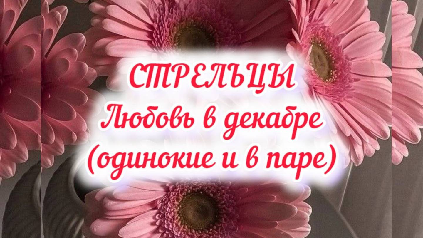СТРЕЛЬЦЫ - ЛЮБОВЬ в декабре 24г. (одинокие и в паре).