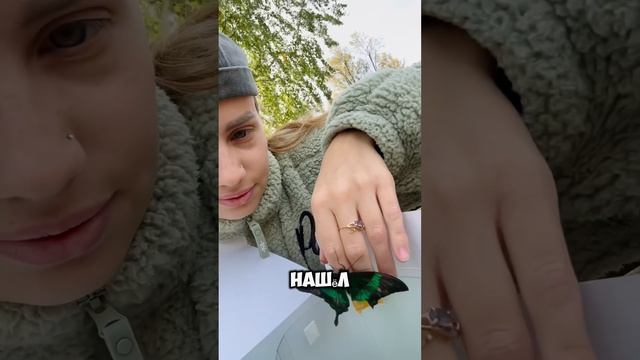 Вот что у меня есть 🤩🆘🔞 #домашниепитомцы #домашниеживотные #животные #звери #собака #насекомые