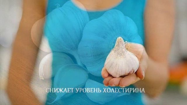 Частный Санитар чеснок польза чеснока