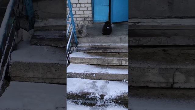 Разгоняют темноту 🌑