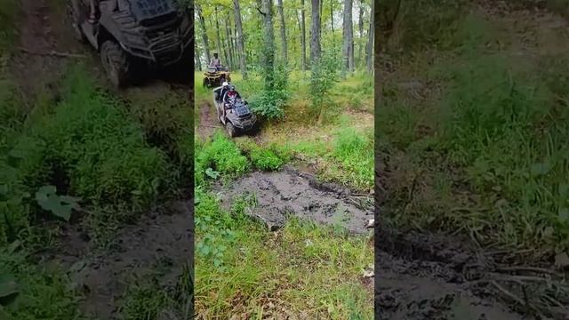 BRP | CF | STELS   #квадроциклы #atv #brp