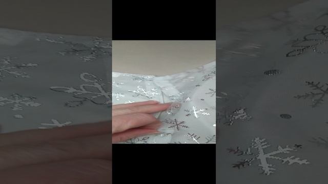 VID_20241127_154924_tigr