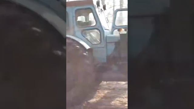 Т-40 ТУРБО по грязи #т40 #трактор #бездорожье #мтз #лтз
