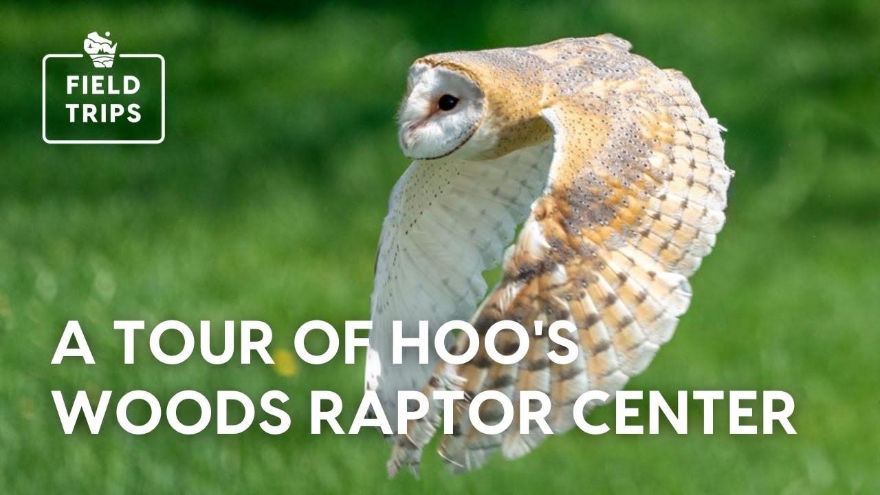 A Tour of Hoo's Woods Raptor Center