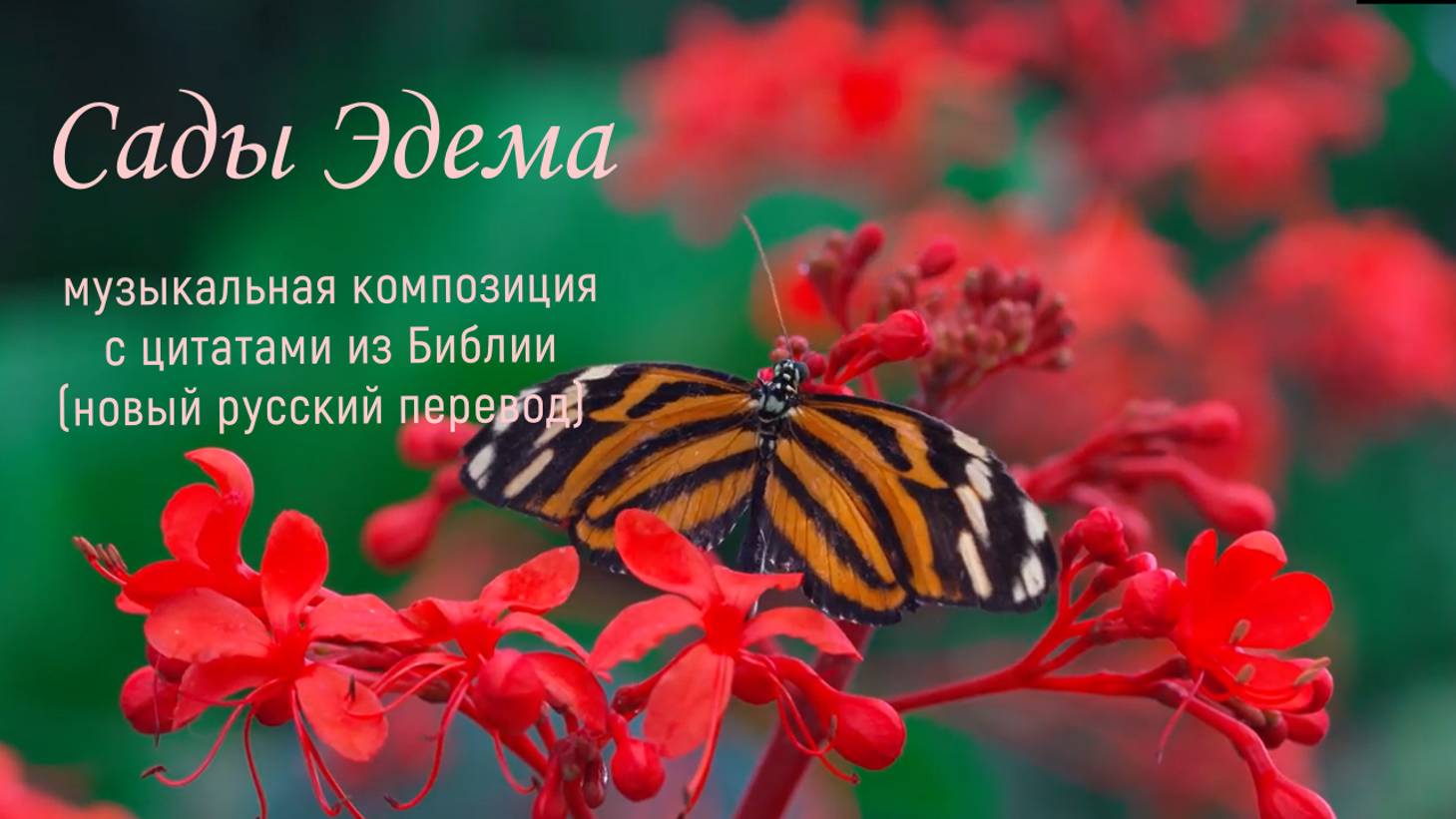 Сады Эдема - Worship _ инструментал с цитатами из Библии, #пропитка #христианскаяМузыка