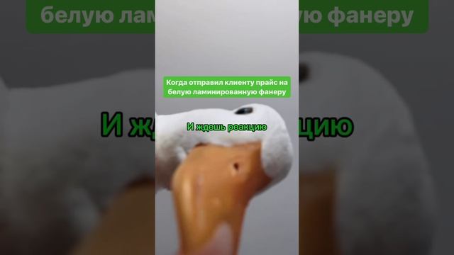 Белая ламинированная фанера — не просто материал, а готовое решение для профессионалов!
