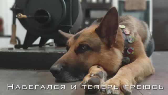 Активные игры.