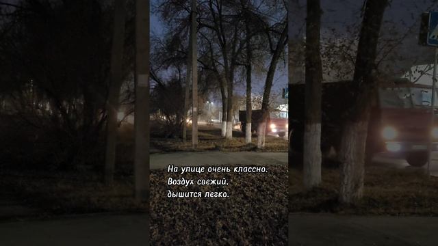Погода