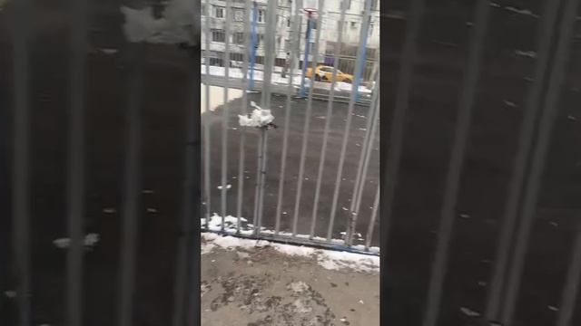 Жители показали состояние спортивной площадки во дворе дома 35 на ул. Крылатские холмы