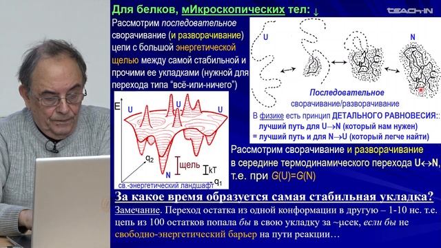 Финкельштейн А.В. - Физика белка - 14. Кинетика образования структур глобулярных белков