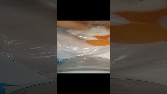 обзор нового молда
