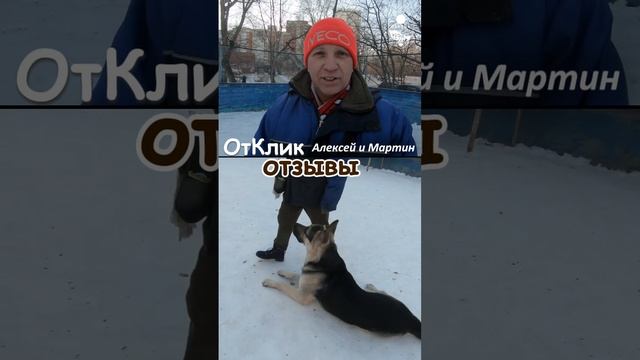 Наши студенты Алексей и Мартин о школе
