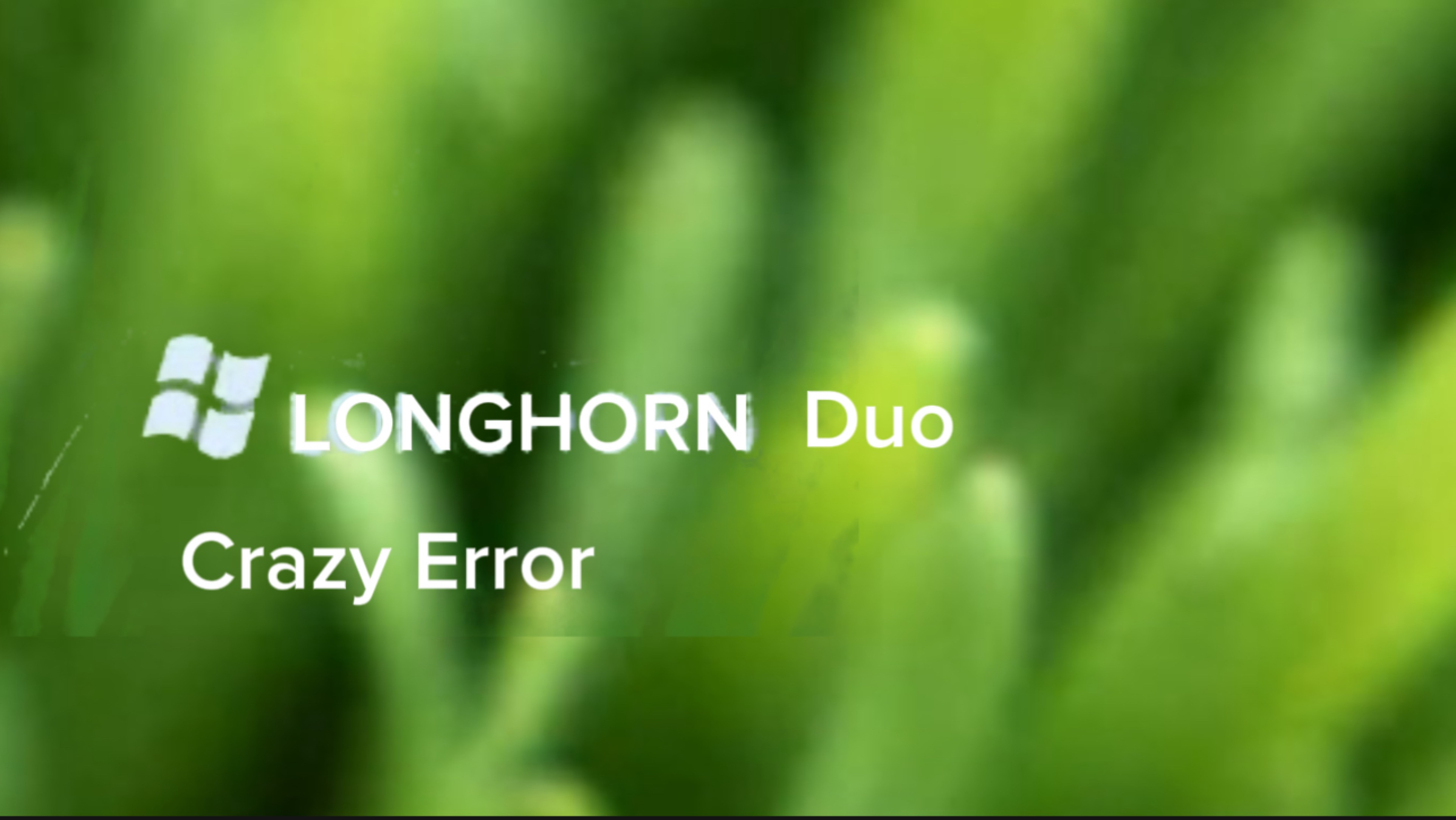 Windows Longhorn Duo Crazy Error